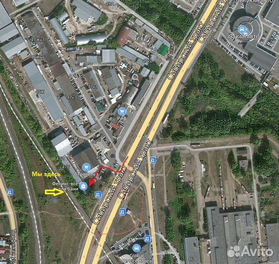 Дверь стеклянная Графит