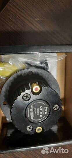 Dynamic state nt-8.2