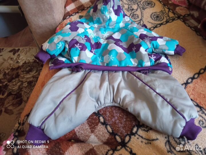 Одежда для собак мелких пород