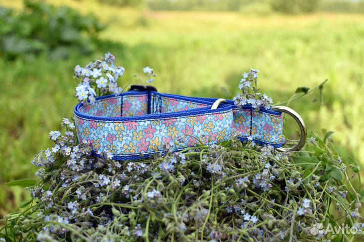 Ошейники, шлейки, поводки, амуниция для собак