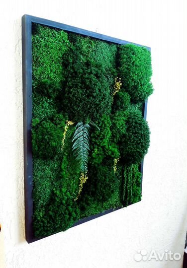 Панно из стабилизированного мха