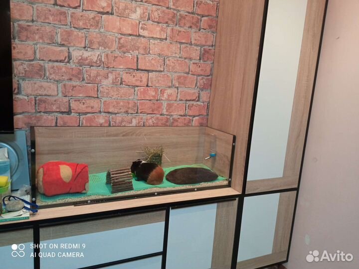 Клетка стеллаж для грызуна