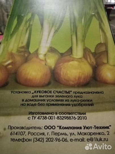 Луковое Счастье-для выгонки зелени
