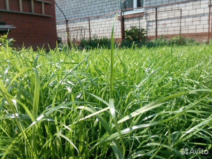 Благоустройство садов, частных парков и территорий