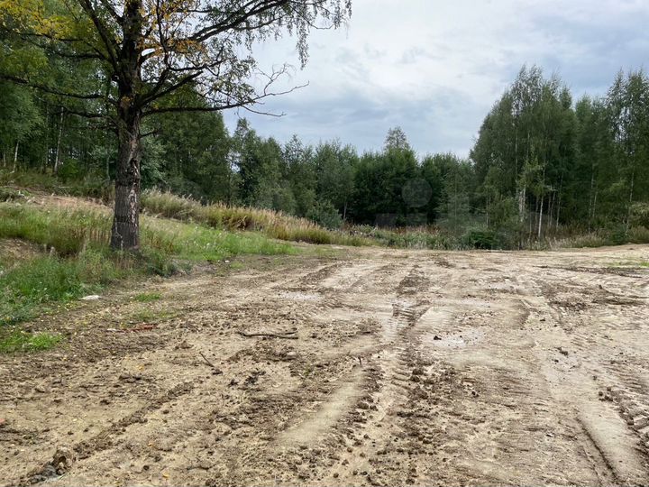 Участок 12 сот. (ИЖС)