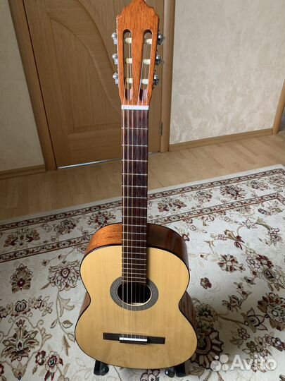 Гитара Cort AC 100 SG