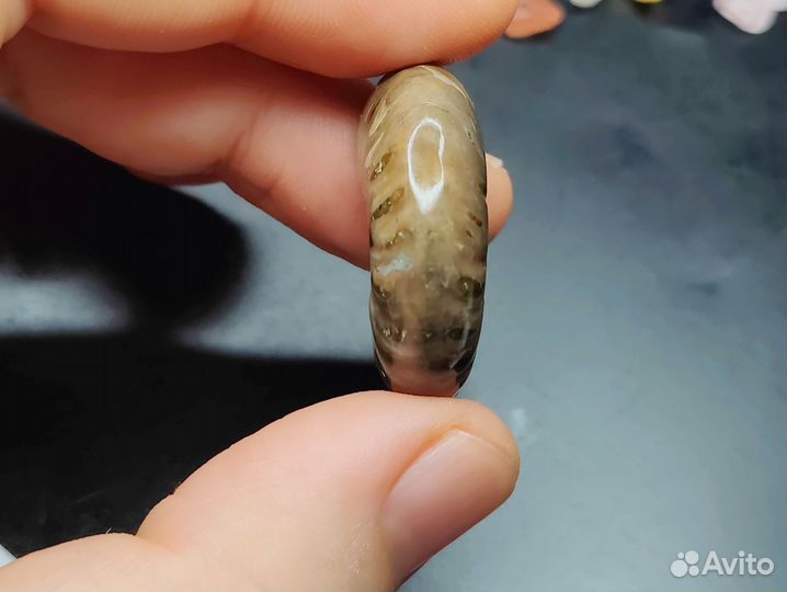 Окаменелость. Аммонит с аммолитом. Редкий вид