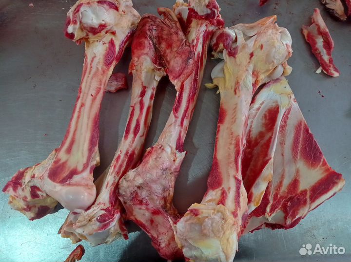 Кости говяжьи для собак