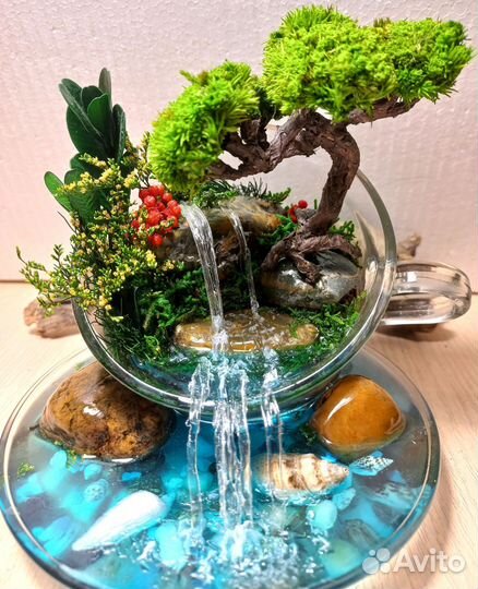 Моссариум, кружечка с блюдцем