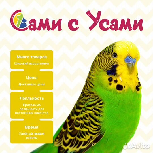 Royal canin Sensible Корм сух.д/кошек с чувств.пищ