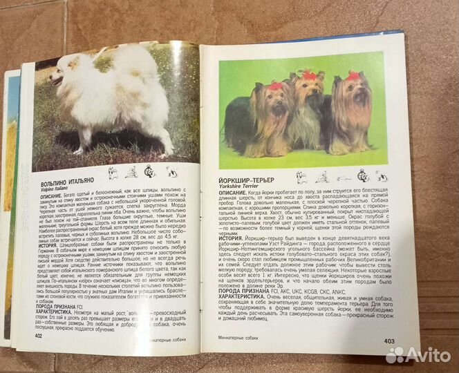 Книги о собаках и кинологии