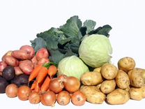 Поставка овощей и фруктов со склада Екатеринбург