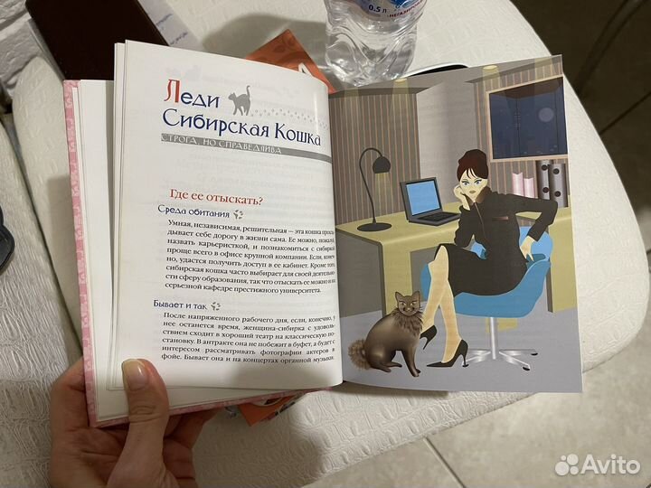 Книги про имена, кошек, прически, питание, клады