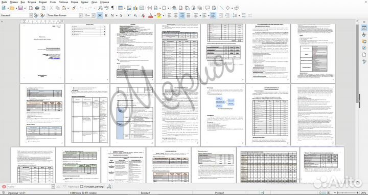 Бизнес план для соцконтракта
