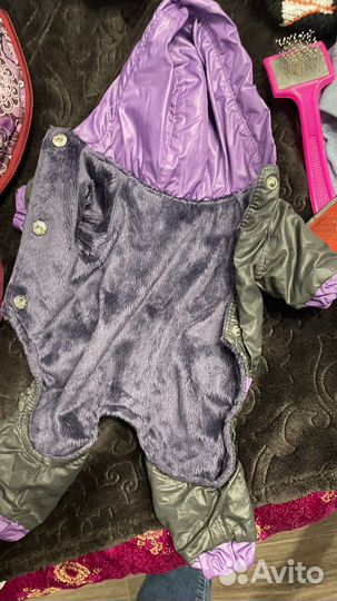 Одежда для маленькой собачки