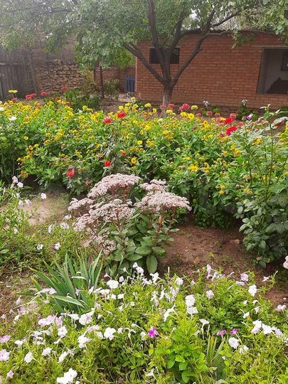 Дом 70 м² на участке 5 сот.