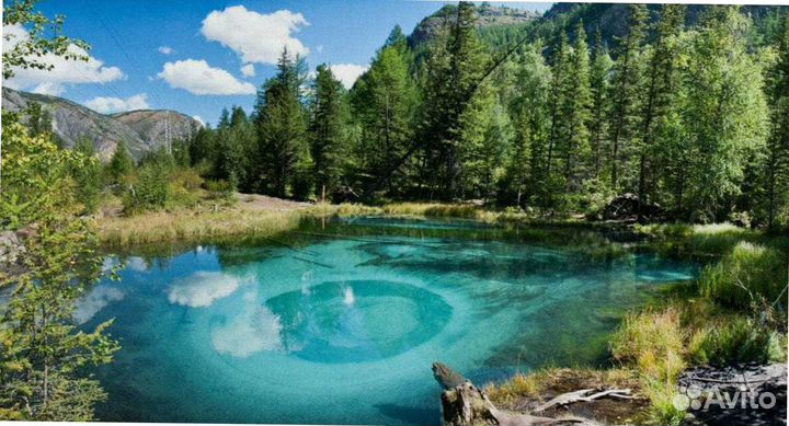 Тур путевка Алтай летний программы до 7 дней