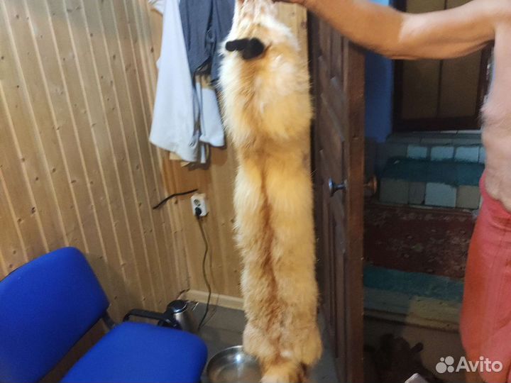 Шкурки куницы, хорек, норка и лиса выделаные