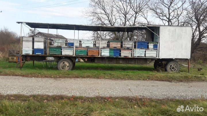 Прицеп с пчёлами