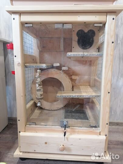 Витрина для шиншилл