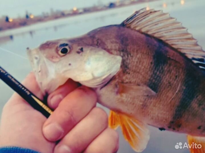 Рыболовная приманка Черви (Силиконовые,10 шт)