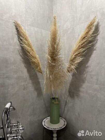 Пампасная трава сухоцвет 3шт 120см