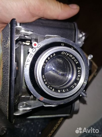 Olympus six