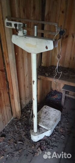 Весы медицинские с ростомером