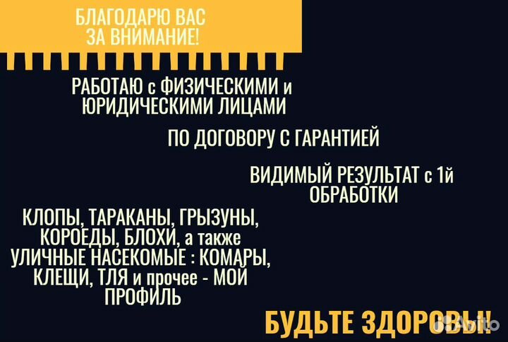 Уничтожение насекомых