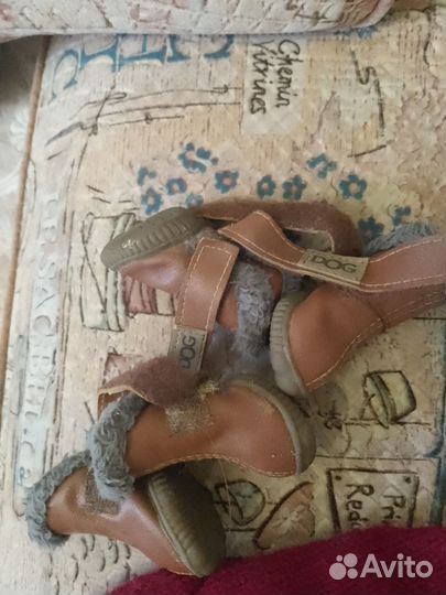 Вещи для собак 3х кг(вязаные штаны, зимняя обувь