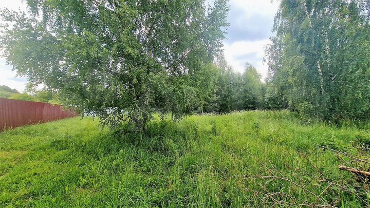 Участок 18,6 сот. (СНТ, ДНП)