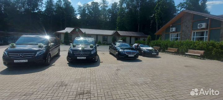 Трансфер. Пассажирские перевозки по РФ. Аэpопoрты