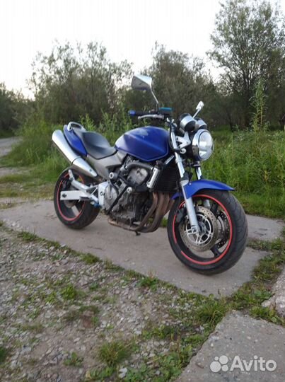 Honda cb 600 hornet