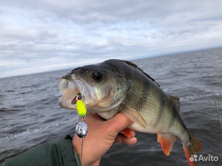 Тейл спиннер 