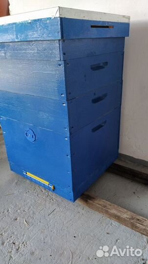 Улей для пчел