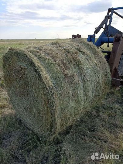 Сено в рулонах