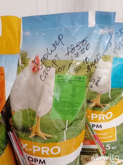 Комбикорм зерно