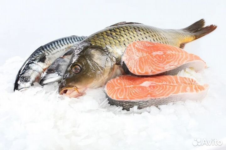 Купить прибыльный рыбный магазин под ключ