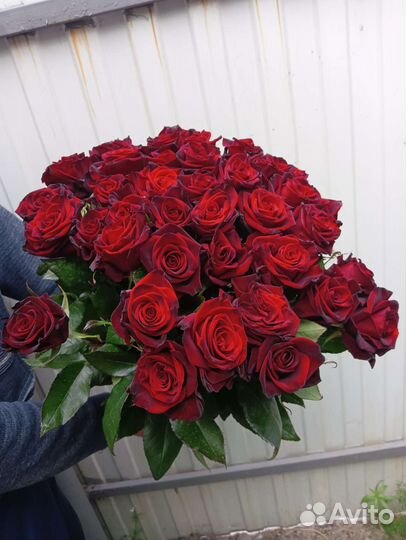 Цветы розы, букеты из роз