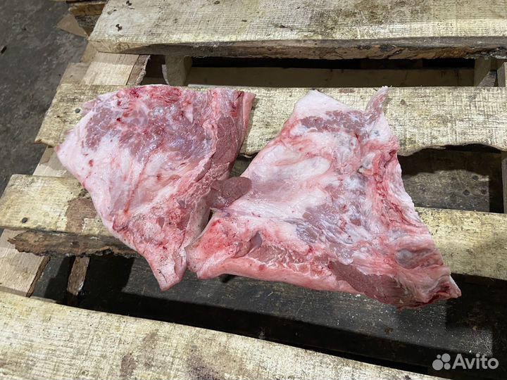 Мясо свинина щека