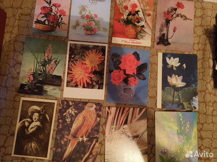 Открытки СССР