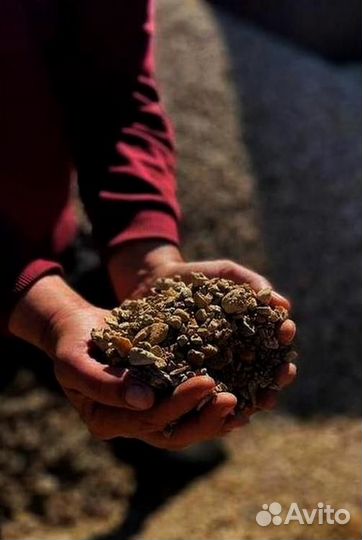 Отсев с доставкой