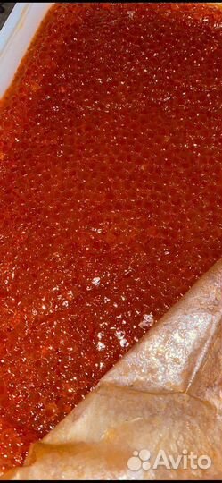 Красная икра кета2023