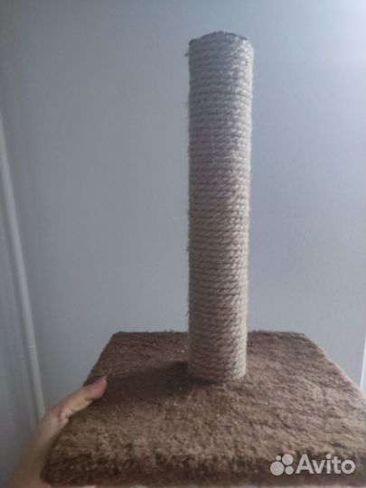 Когтеточка