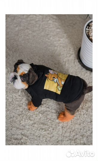 Толстовка для собак