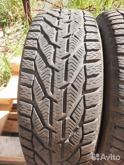 Tigar Winter 195/60 R15