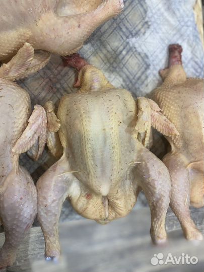 Мясо цыпленка бройлера