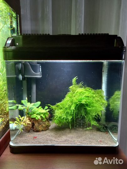 Аквариум