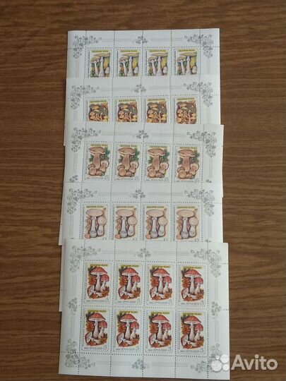 Марки листы 5шт грибы