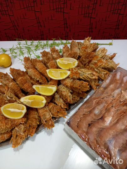 Креветка Медвежонок (шипастый шримс)